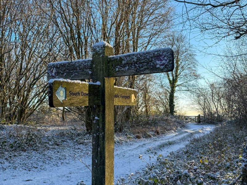 West Dean Estate, winter