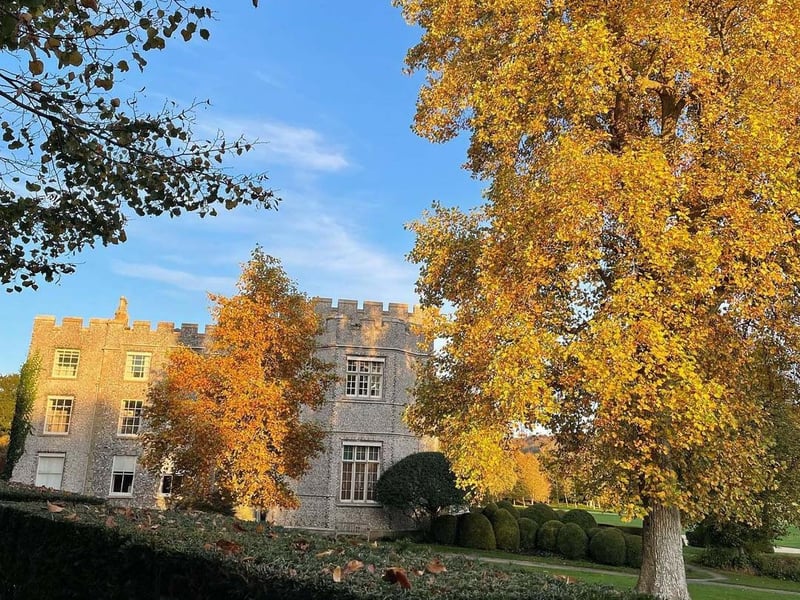 Image: @salena.godden via Instagram