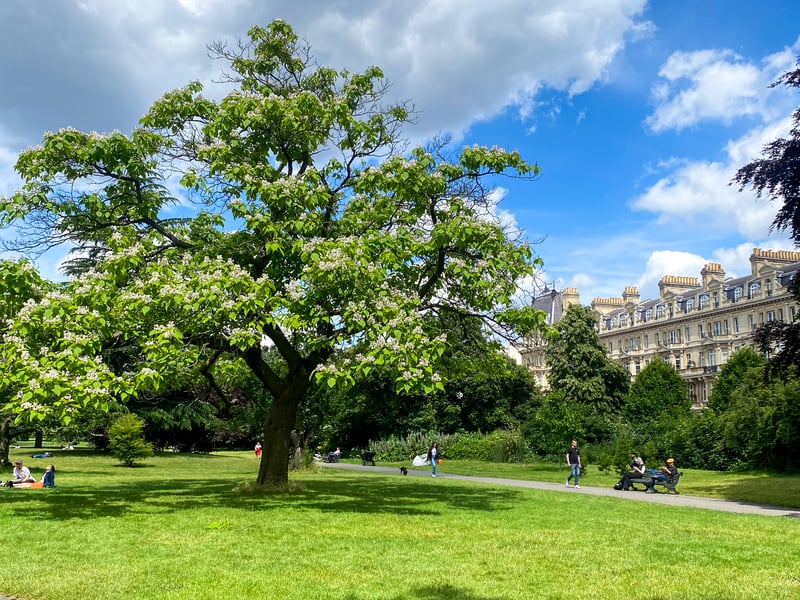 Green spaces in Bloomsbury