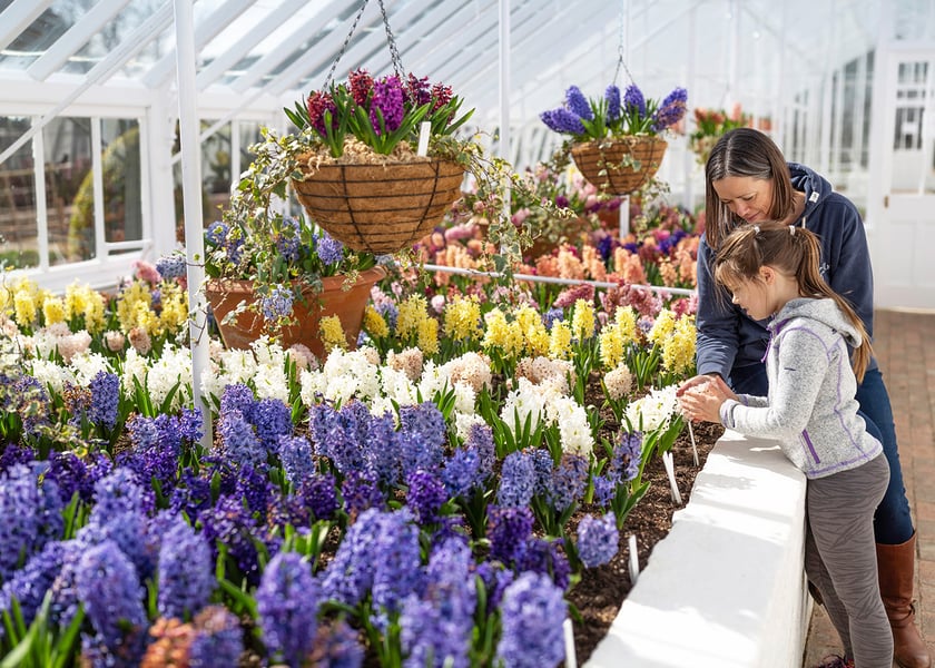 Mothers Day at West Dean Gardens