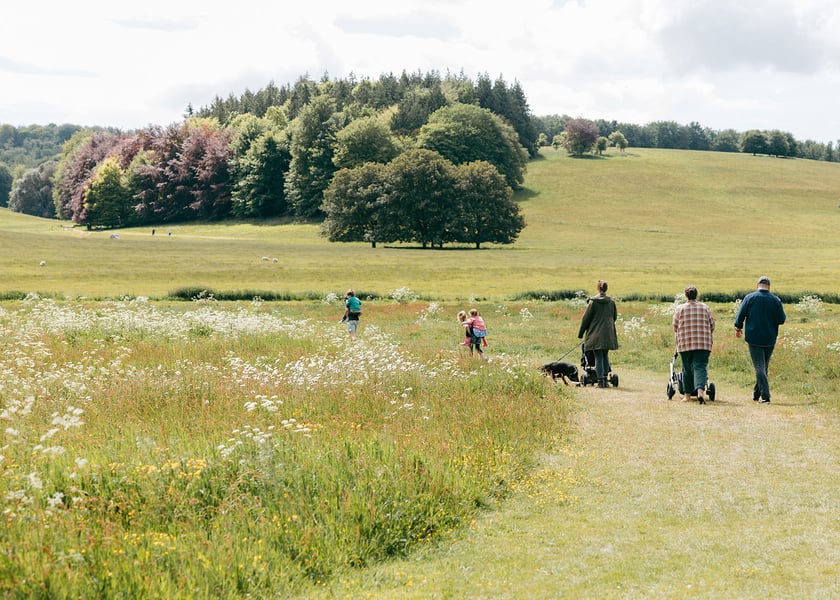 Garden Explorer Trail Summer Activities West Dean Gardens
