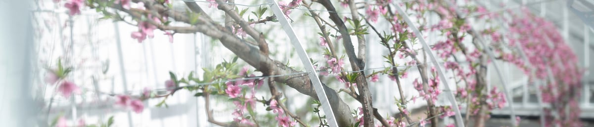 Short Courses for Spring - West Dean - Chris Ison