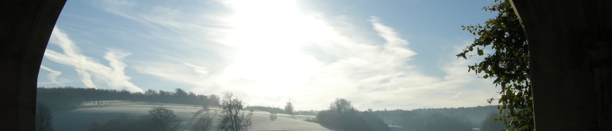 Winter view of the Arboretum at West Dean. Image credit: Steve Tattersall