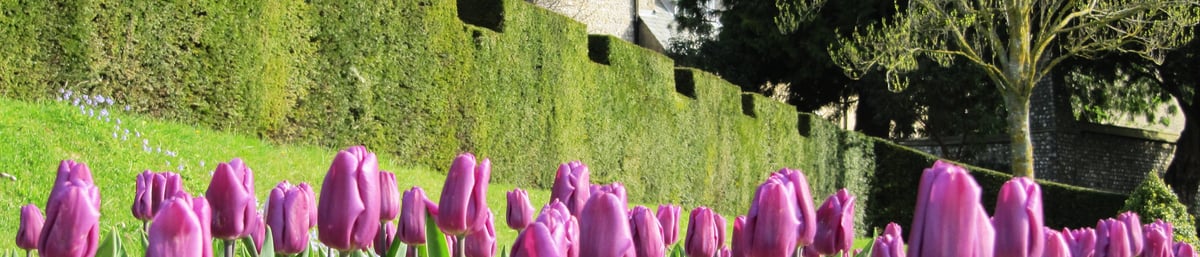 Garden Styles at West Dean Gardens 