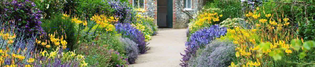The Apple Store in Summer at West Dean Gardens