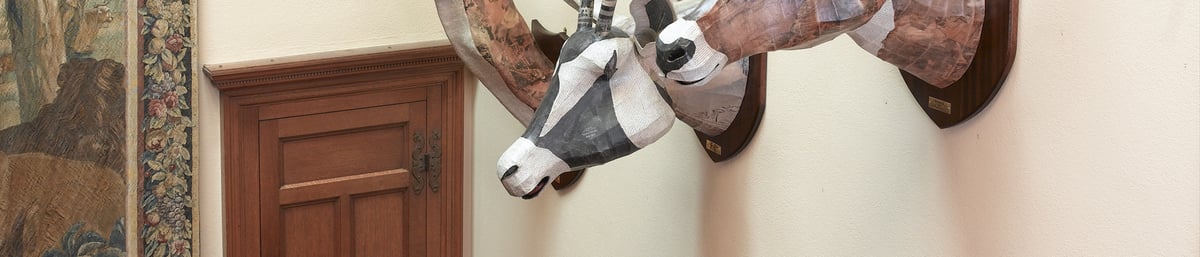 Springbok, Oryx, Waterbuck by David Farrer