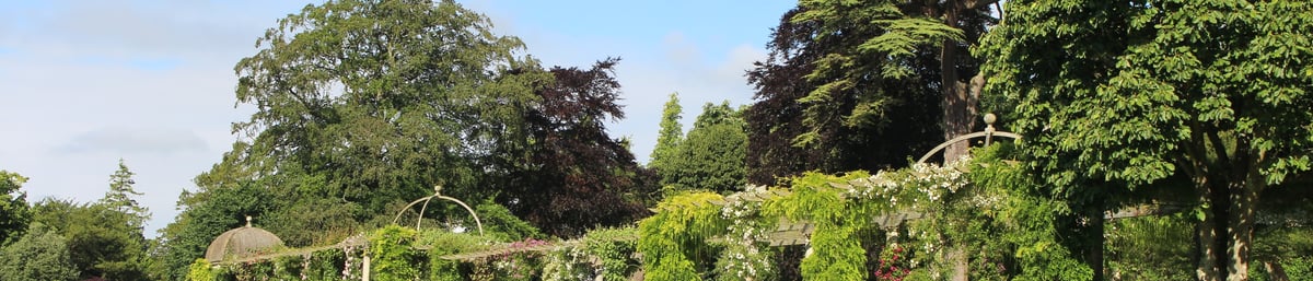 300ft Edwardian Pergola West Dean Gardens near Chichester
