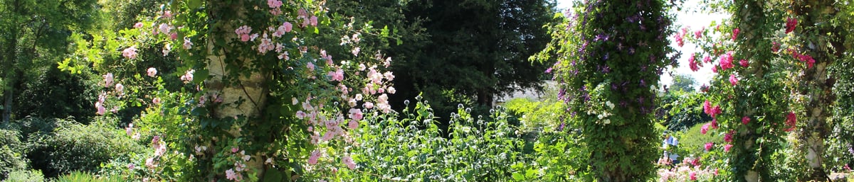 The Edwardian Pergola at West Dean Gardens