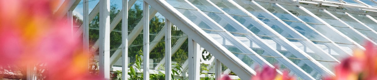 Glasshouse in Summer time at West Dean Gardens West Sussex