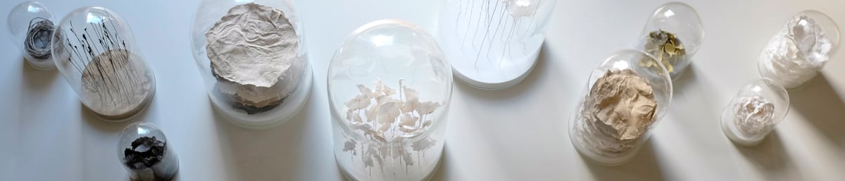 Jane Ponsford: A landscape in ten parts