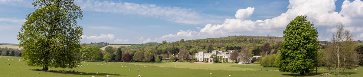 Study art, craft and conservation at our West Dean campus in Sussex.