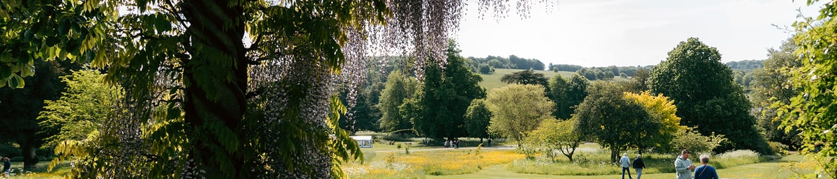 West Dean Gardens look out of sussex estate