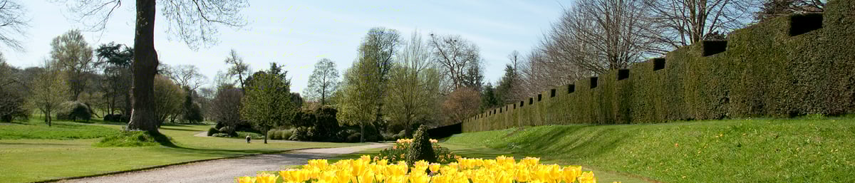 Wonderful tulip display at West Dean Gardens West Sussex