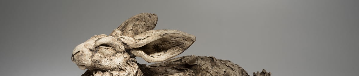 Felicity Lloyd-Coombes: Hare