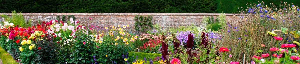 Summer Walled Garden Display at West Dean Gardens West Sussex