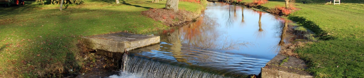 View of the River Lavant in West Dean Gardens