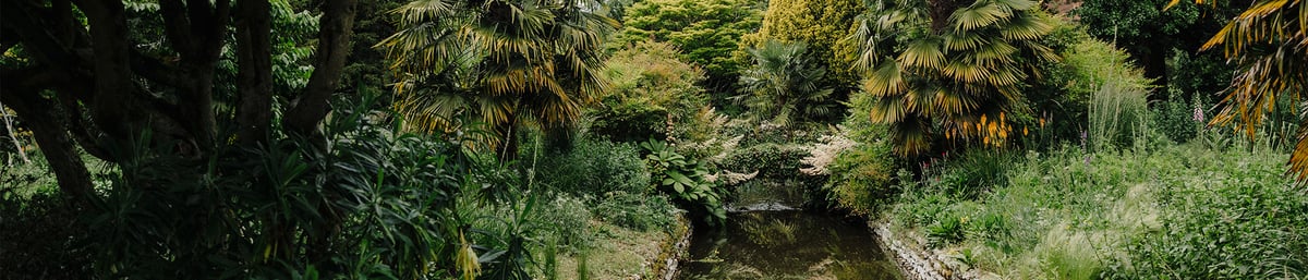 Explore West Dean Gardens