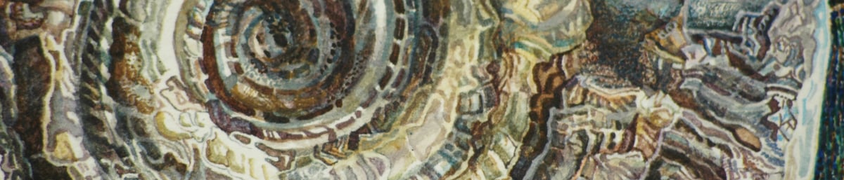 Ammonite - Suzanne Balchin, tutor at West Dean College of Arts and Conservation