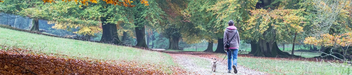 Lady walking dog at West Dean Gardens in Sussex