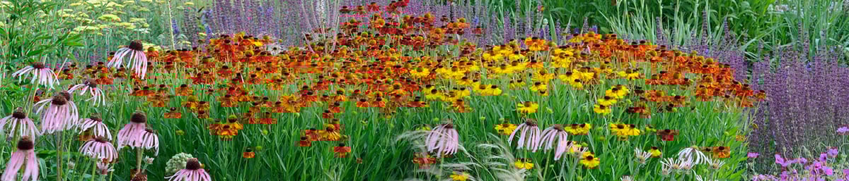 Jason Ingram Oudolf Gardens - Courses at West Dean College