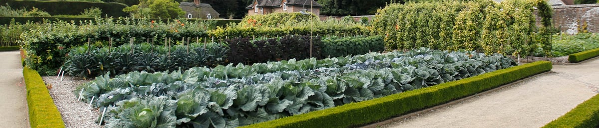 Kitchen Garden at West Dean Gardens West Sussex