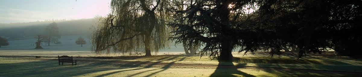 Winter Landscape at West Dean Gardens West Sussex