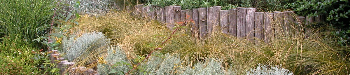 Mark Lawrence - Designing gardens for Climate Adaption2