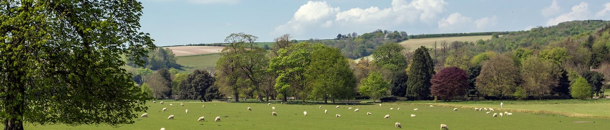 West Dean Sustainability Plan