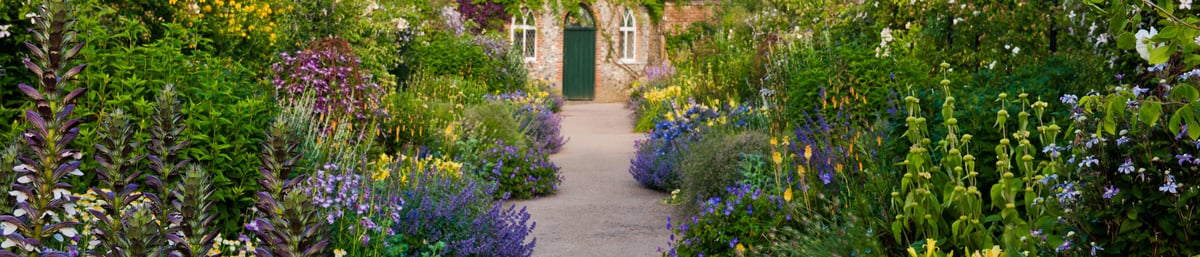 The West Dean Gardens Apple Store in summer