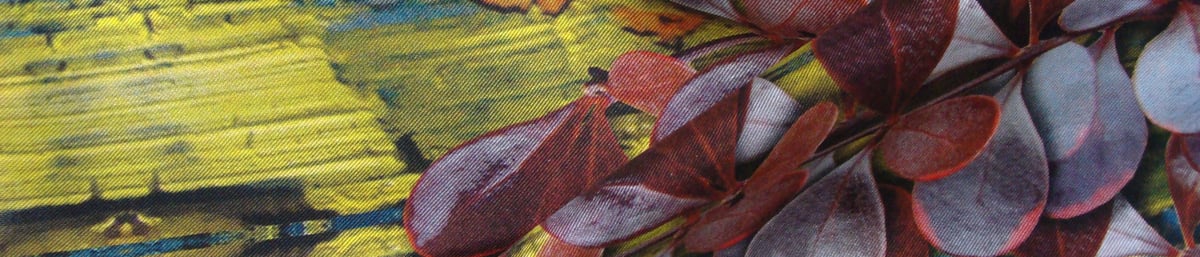 Emma Burton 15 green heart scarf landscape