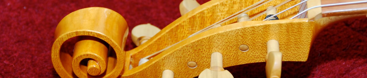 Renate Fink musical instruments