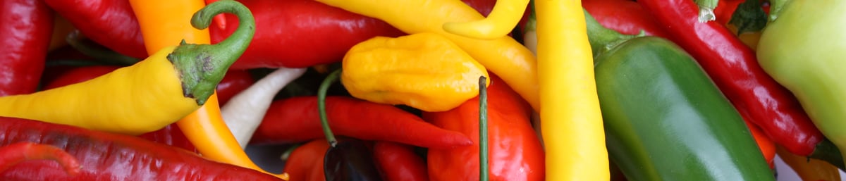 West Dean Chilli Fiesta, West Sussex