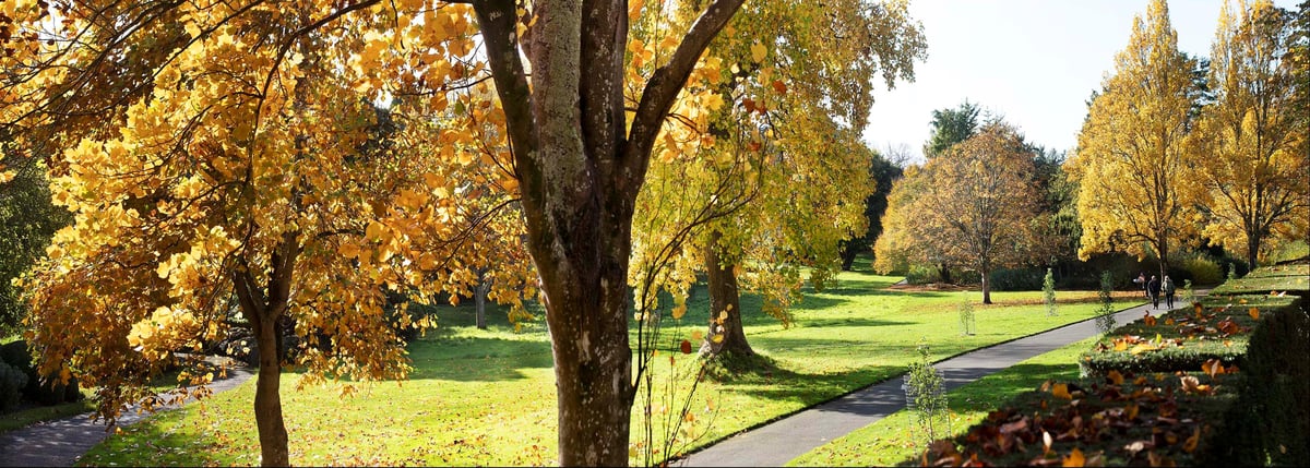 Autumn colour at West Dean Gardens - image by Trevor Sims