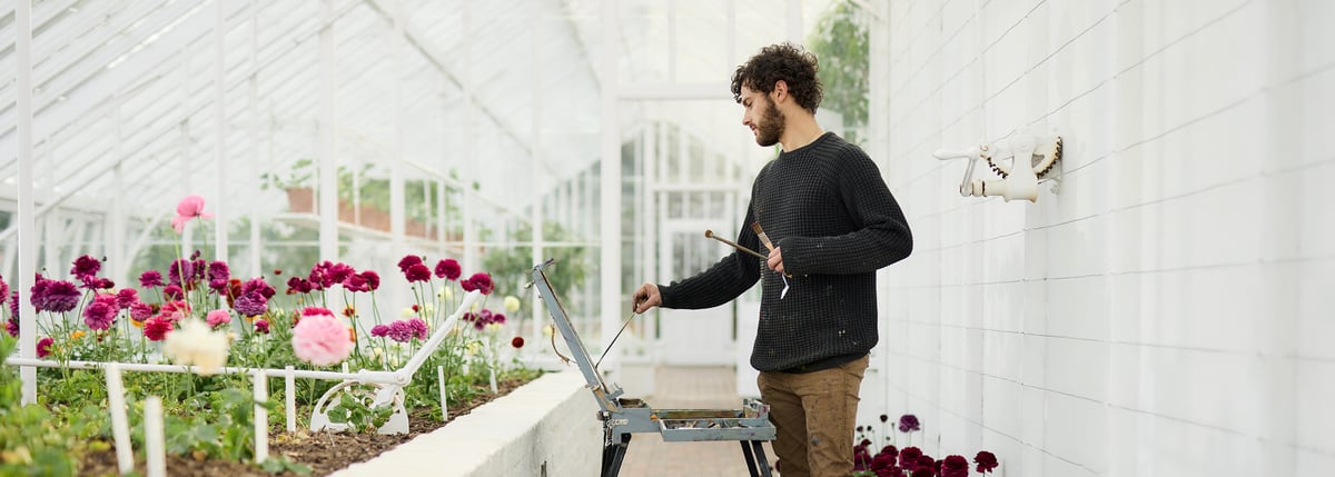 Painting Courses Oil Watercolour Acrylic