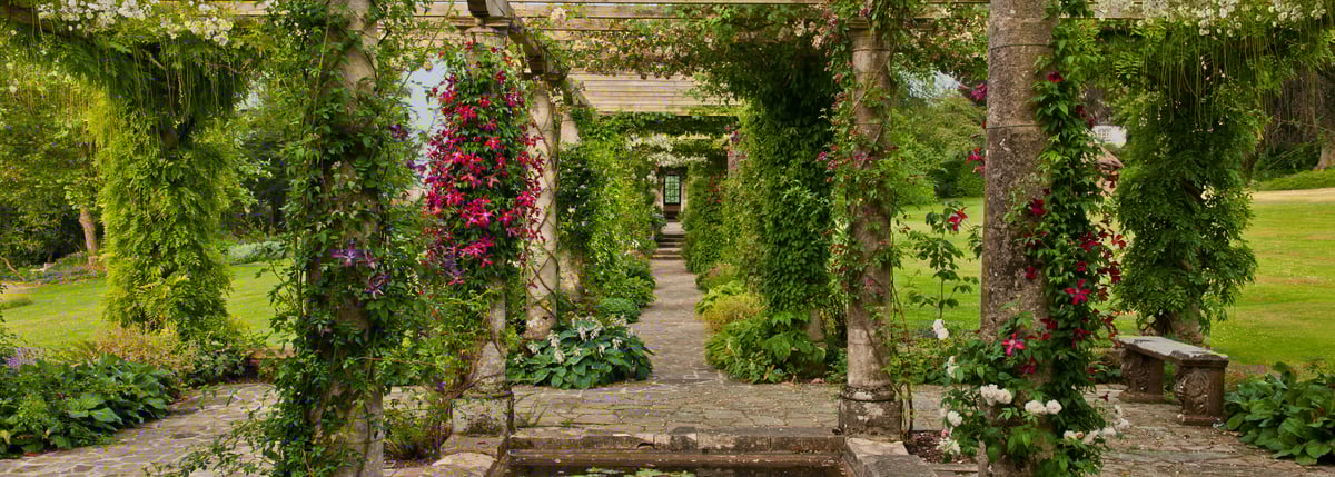 West Dean Gardens was included in The Telegraph's ​'best gardens for weddings in the UK and abroad', 