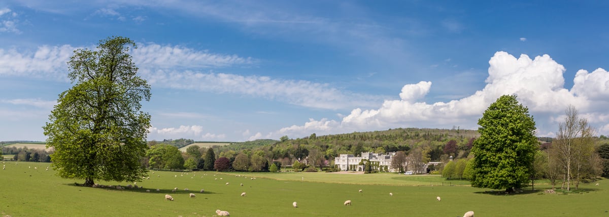 View of the front of West Dean College of Arts and Conservation with sheep in the field in front