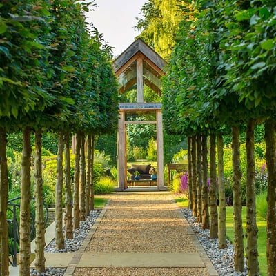 Diploma_in_Garden_Design_KLC_School_of_Design_Credit_Naomi_Alcantara