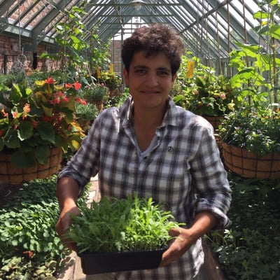 Sylvia Travers - horticulture tutor at West Dean College