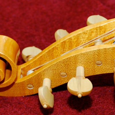 Renate Fink musical instruments