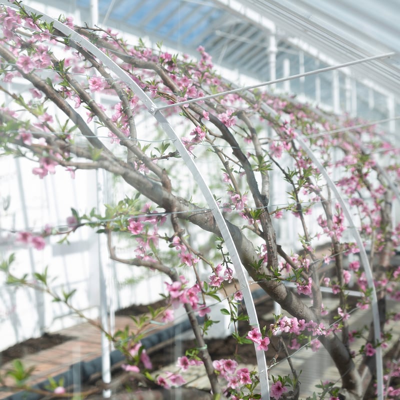 Short Courses for Spring - West Dean - Chris Ison