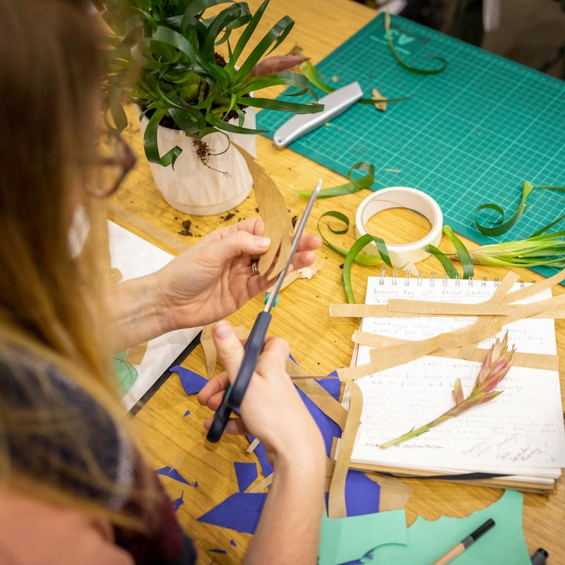 Virtual open day for OFDAD