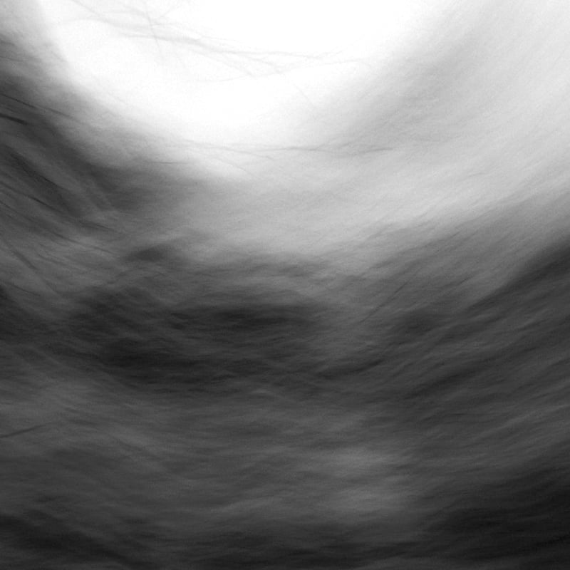 Charcoal artwork by Tiffany Robinson Tutor at West Dean College of Arts and Conservation