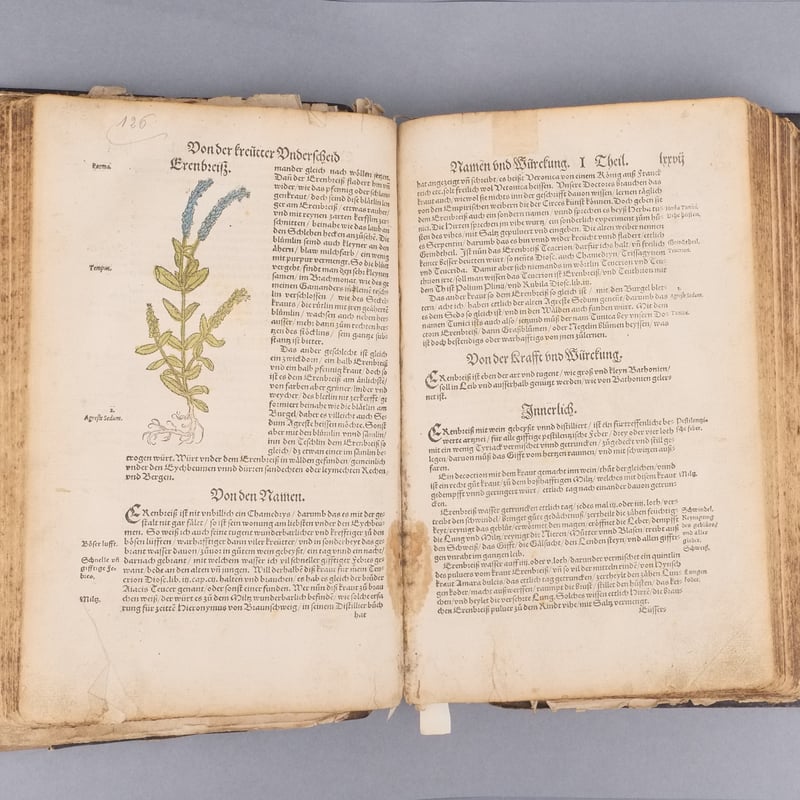 Kreuterbuch book conservation