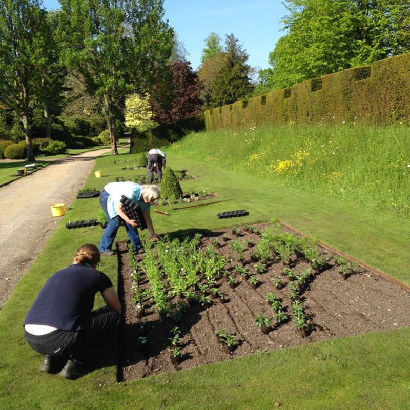 Gardeners Planting at West Dean Gardens West Sussex