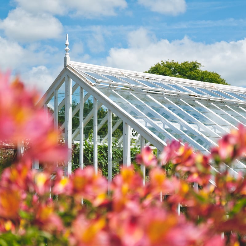 Visit West Dean Gardens in July