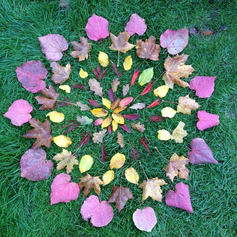 Leaf Mandala 8, by Dan Lobb