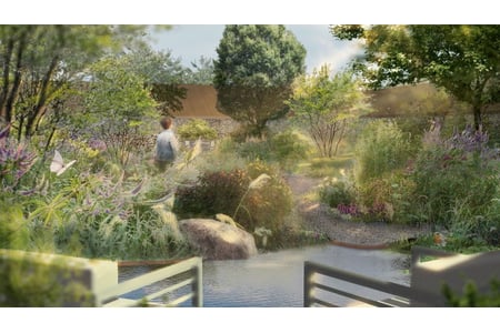 Garden Design- Holly Knight