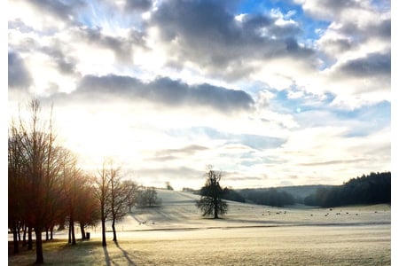 A frosty view of the arboretum at West Dean Gardens