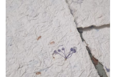 Fig 6. More paper samples.