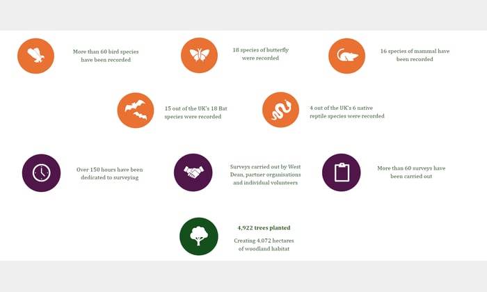 a snapshot of this year’s survey insights, highlighting key findings, the total number of surveys conducted, and our updated tree planting figures